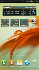 Traffic Monitor Plus 5.0