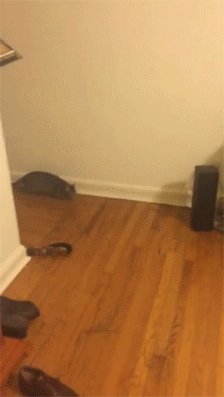 котэ