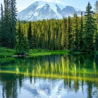 file_103107983