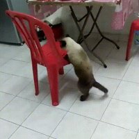 ))