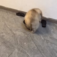 В ожидании завтрака)