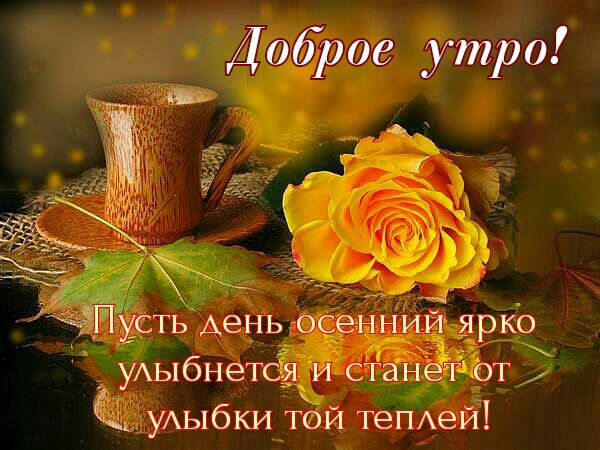 IMG 20180916 133916