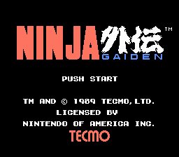 Ninja Gaiden in Hell