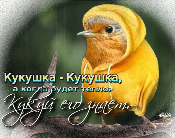 file_90040539
