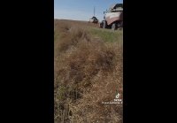 video_109468807