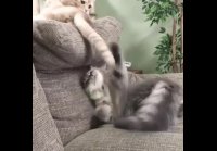 Мы с любимым живем в достатке... .