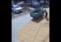 Njbirukr s0f0d12m0 576x642 slp
