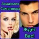 Budini Академия Чудес Самандора Ждёт Вас! (2021)