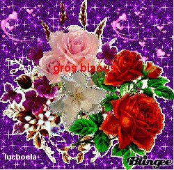 oibt8z5i