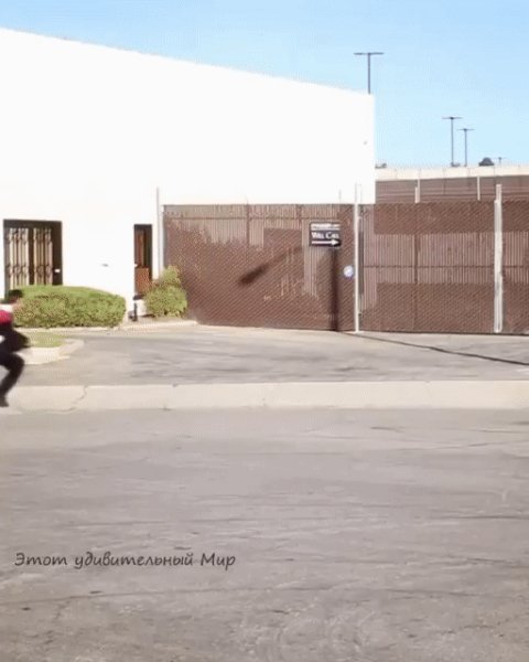 Прикол