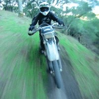 giphy-3