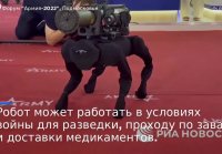 Робот-собака с гранатометом на спине Армия-2022