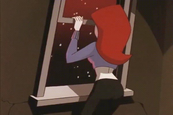 Window