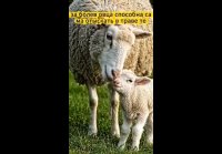 VID-20260910-WA0144