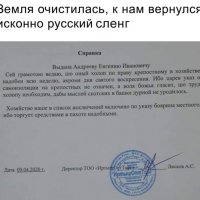 file_81354677