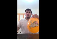 ЧЕХОЛ ДЛЯ СМАРТФОНА ПРОСТА