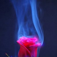 f124c900507514677c8df9083ef3a587