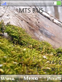 Nature 2