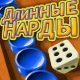 Backgammon RUS Nardy SE240x320