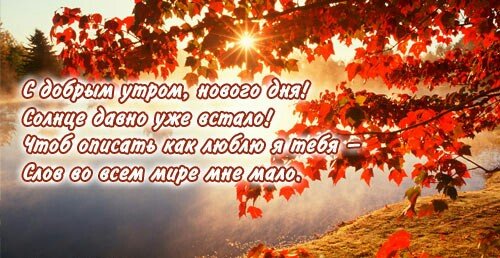 IMG 20181014 031728 608