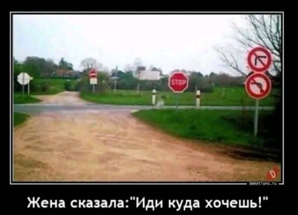 file_103604622