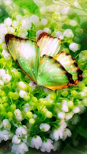 file_50085214