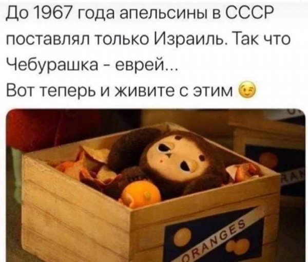 IMG-20191122-WA0014