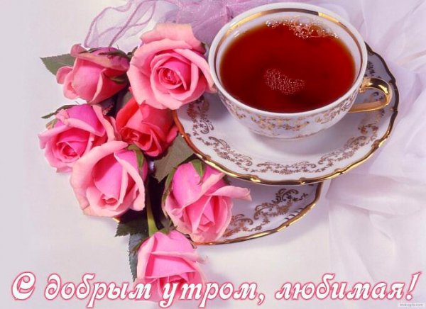 IMG 20180914 073511 403