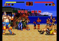 Fatal Fury 1 Raiden