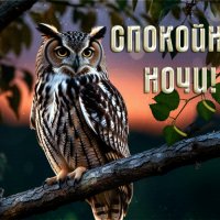 file_99727772