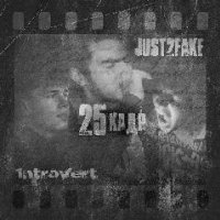 Just2Fake amp 1ntroVert. 25 кадр