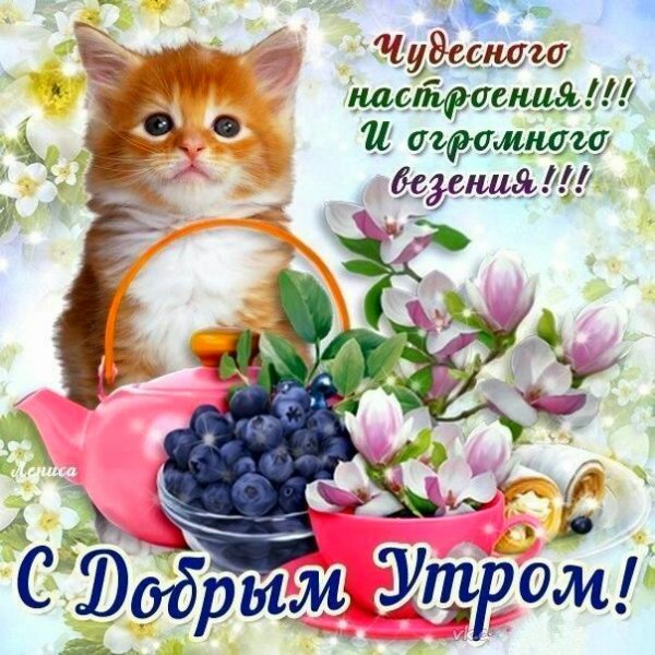 IMG 20181017 160027 806