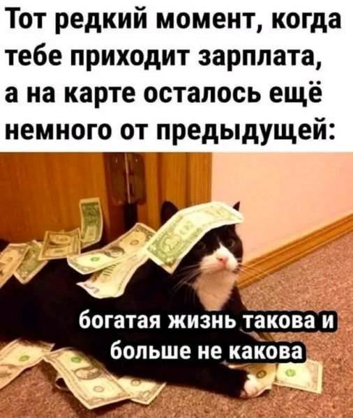file_103559096