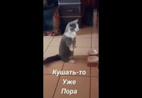 VID-20250222-WA0016