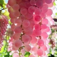 file_102965029