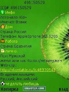 BayanICQ 0.2f mod
