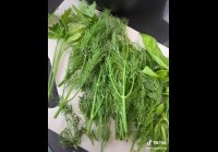 ada4bd720c9a2afcd22dd372103f1