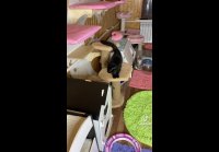 VID-20210505-WA0016