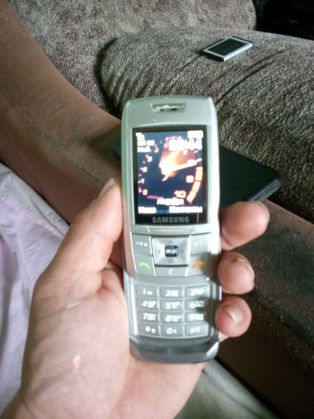 SAMSUNG E250