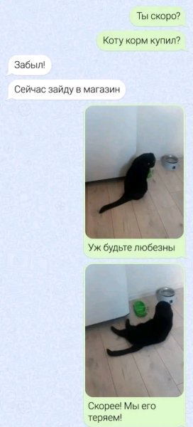 file_103527148