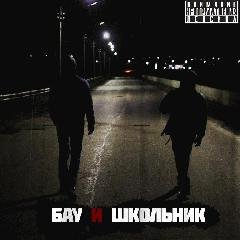 Школьник и Бау. ЕР