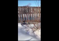 Рыбалка прет