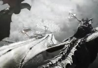 A Dragon is not a Slave 1liZikFhfJw
