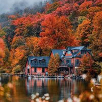file_101199575