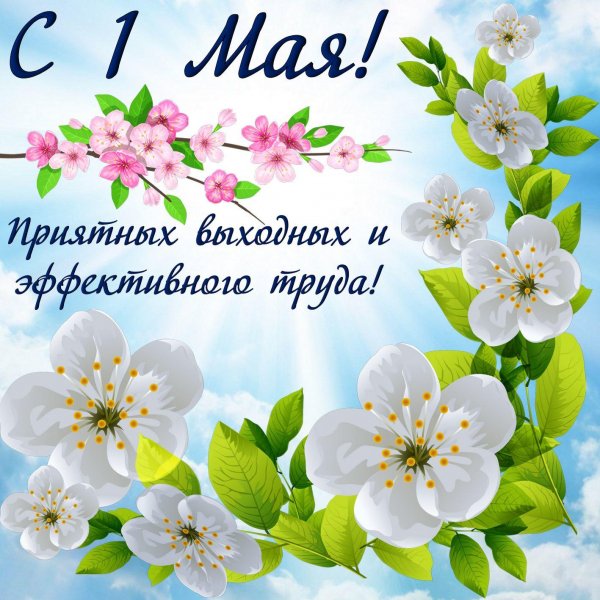 IMG 20190503 131048