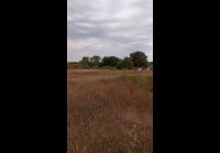 video_108462761