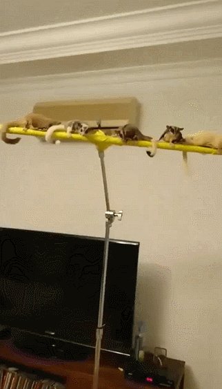 ЗА ВДВ!