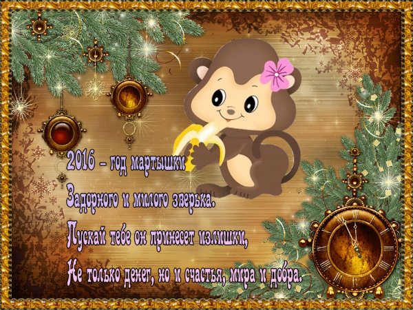 IMG 20151206 181229 0