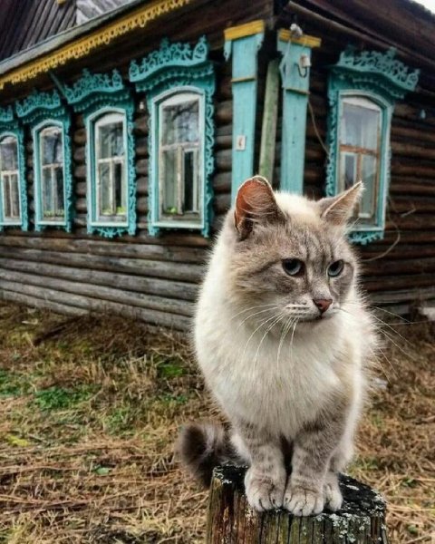 file_100756106