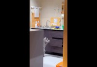 Когда застали на месте преступления))